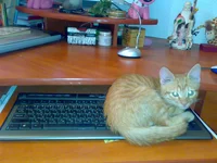 120920081507.webp