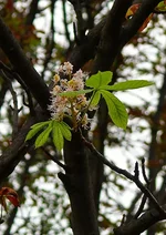 P1040660.webp P1040660.webp