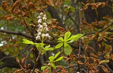 P1040669.webp P1040669.webp