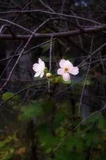 P1040734.webp P1040734.webp