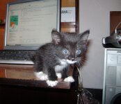 IMG_0093.JPG