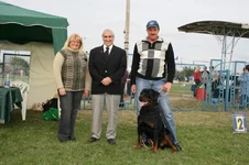  размера IMG_1323.webp