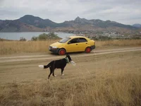 P9202206.webp
