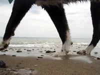 P9202215.webp