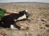 P9202240.webp