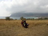 P9212245.webp