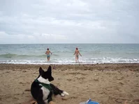 P9212320.webp