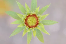 111.webp
