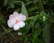  2.webp