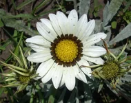  4.webp