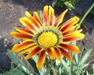  9.webp