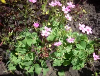  3 и 4.webp
