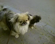Photo-0069.webp