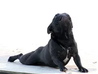 362878344_42aa5f0cf3.webp