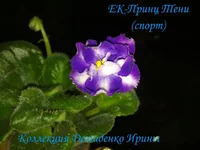 070720132979.webp
