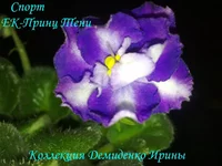 070720132981.webp