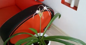 WP_20130708_002.jpg