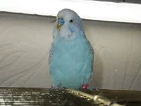 DSCF2836.webp