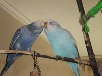 DSCF2945.webp