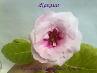 050720132974.webp