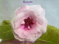 050720132975.webp