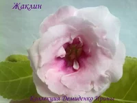 050720132977.webp