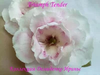 050720132956.webp