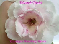 050720132958.webp