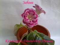 050720132942.webp