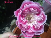 050720132944.webp