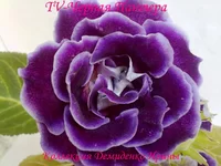 050720132930.webp