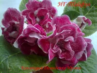 050720132923.webp