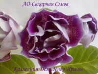 050720132950.webp