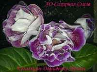050720132954.webp