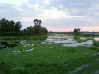 -0009.webp