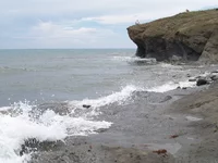 P1018518.webp