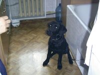PIC_0645.jpg