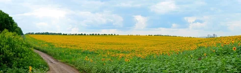 P1150067_Panorama_3s.webp