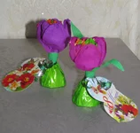 IMG_0839.webp
