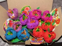 IMG_0842_1.webp