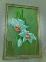 043.webp