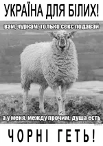 4.webp