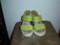 DSC00200.webp