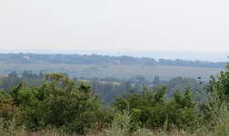 IMG_9594.jpg