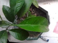 2013-07-13 19.50.13.jpg