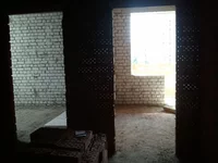 WP_000409.webp