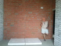 WP_000421.webp