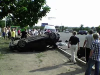 0006.webp