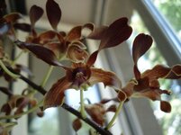 253394_20130710112611_600x600.jpg