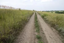 IMG_9808.webp